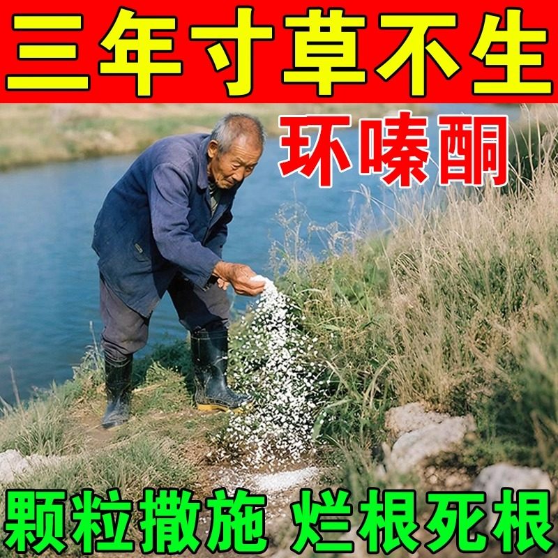 环泰铜除草烂根剂一扫光三年不长草正品灭杂强力烂根除草专用药,农用物资,除草剂,淘宝优惠券,粉丝福利购,淘宝优惠卷