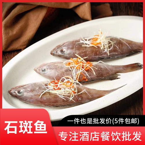 石斑鱼新鲜海洋净膛450g