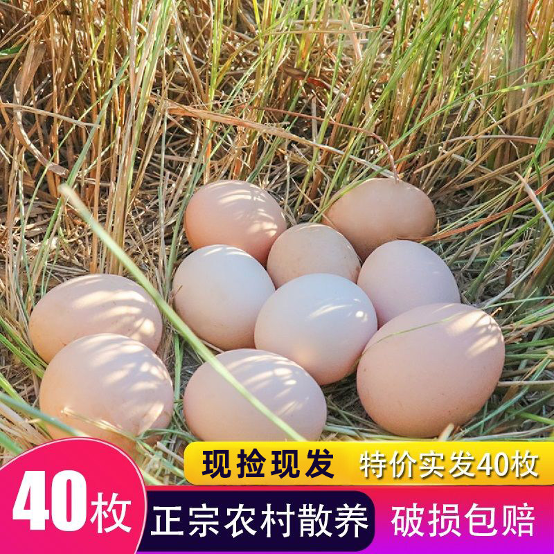 正宗鸡蛋农家散养新鲜鸡蛋天然农村自养40枚柴鸡蛋草鸡蛋笨鸡蛋