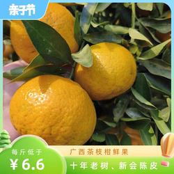 (10年老树圈枝)广东新会茶枝柑果 青皮二红 大红皮又名四会柑陈皮
