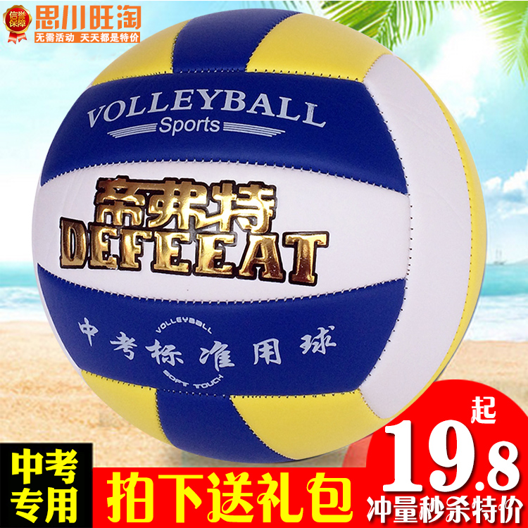Ballon de volley - Ref 2010847 Image 1