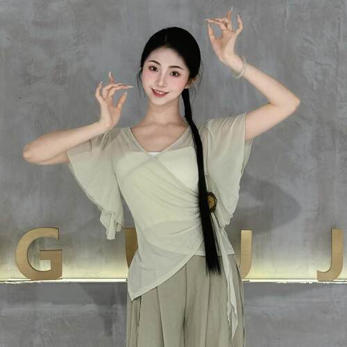 古典舞纱衣短袖夏身韵花朵舞蹈服飘逸上衣中国舞练功服现代舞网纱
