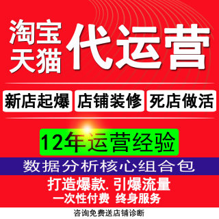 天猫店淘宝代运营店铺托管整店淘宝运营电商培训阿里巴巴网店运营