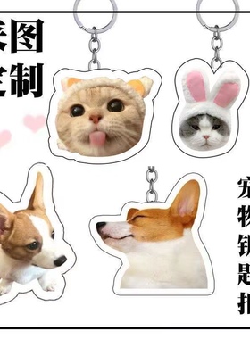 亚克力钥匙扣定制diy来图定做小猫小狗书书包挂件猫咪照片挂饰