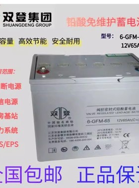 双登6-GFM-65铅酸免维护蓄电池12V65AH 直流屏UPS通讯消防EPS电源