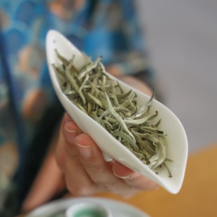 云白1840普洱白茶2024年春云南白毫银针有活性全芽头特级景素茶叶