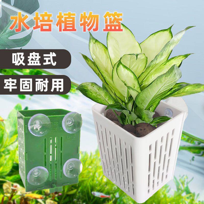 新款升级鱼缸水培定植种植篮水草固定壁挂式造景养鱼养花装饰配件