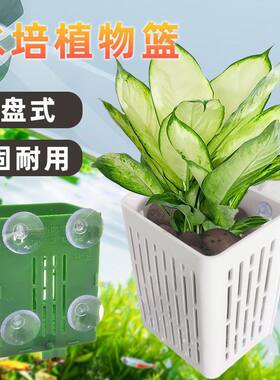 新款升级鱼缸水培定植种植篮水草固定壁挂式造景养鱼养花装饰配件