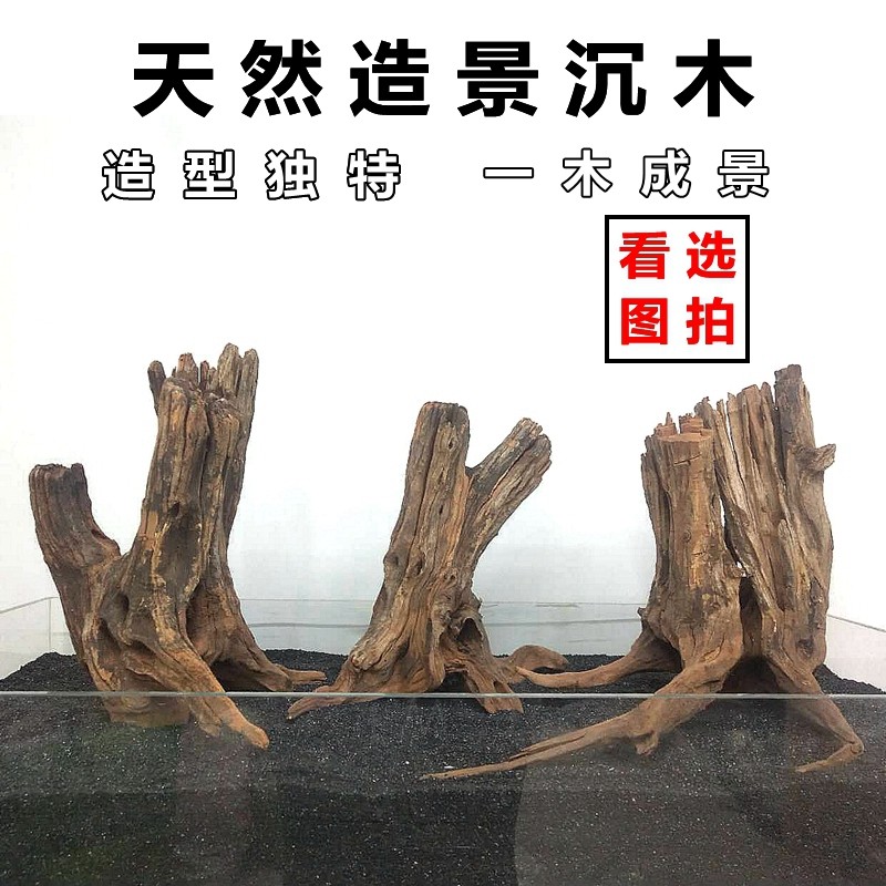 天然优质莫丝树套餐沉木