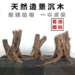 天然沉木水族箱鱼缸造景木优质沉木杜鹃根莫丝树一木成景流木套餐