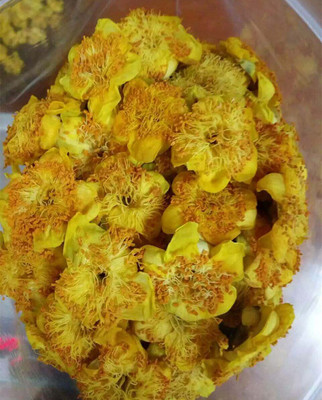 绿茶 金花茶 干花  防城港普通种 微波干燥 精选 一朵