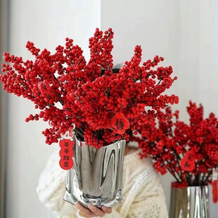 北美冬青红果鲜花切枝鲜切花水培水养绿植室内年宵花真花鲜枝银柳