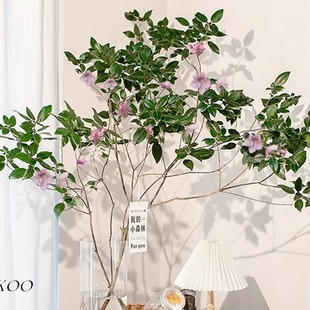 雀舌杜鹃水培植物鲜切枝条盆栽室内客厅马醉木吊钟树水养花卉绿植