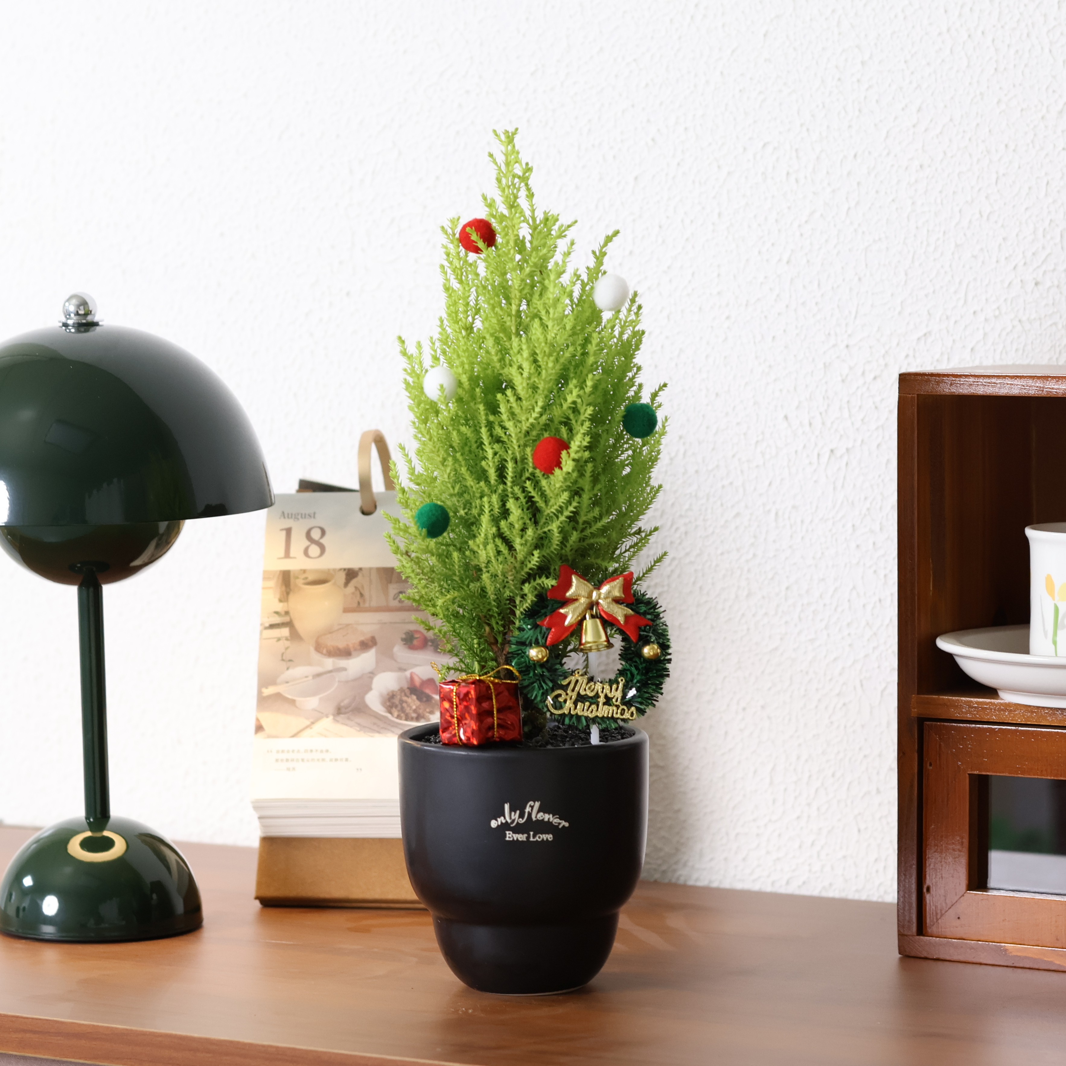 圣诞节香松盆栽室内客厅桌面节日氛围绿植摆件四季好养圣诞树礼物