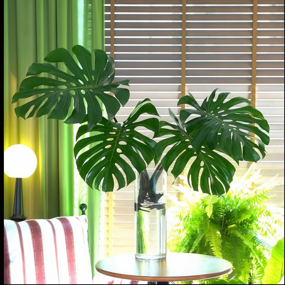 水培植物大叶龟背竹盆栽