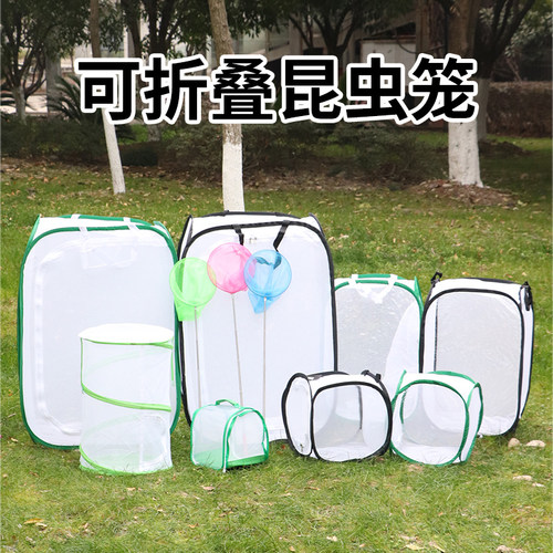 手提昆虫折叠观察笼儿童户外捕捉