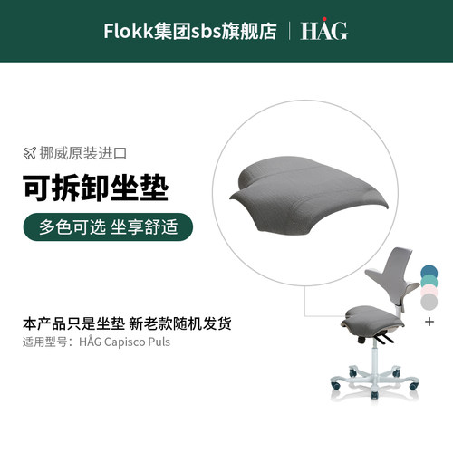 骑马配件挪威原装进口人体工学椅