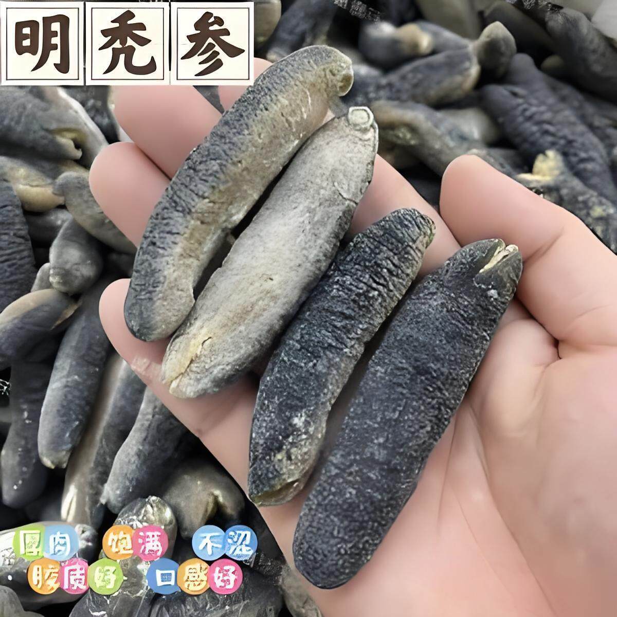 澳洲明秃海参 明秃参沙秃参光秃参白沙参黄金秃深海淡干海参干货