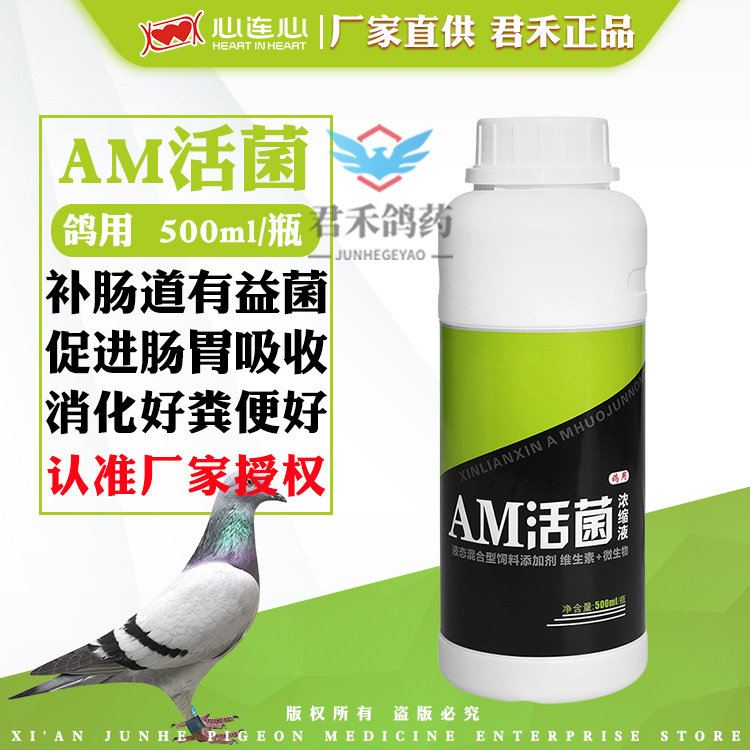 心连心鸽药鸟赛信鸽子药品保健营养信鸽用品鸽用活菌益生菌AM活菌