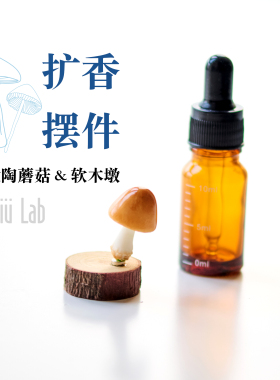 yoyo酱手工扩香器桌面香薰摆件