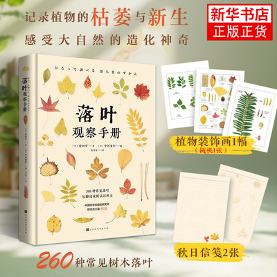 落叶观察手册 (日)安田守 约260种常见落叶 给大家的秋目观叶指南 落叶收藏者的欣赏图鉴 科普类 新华正版书籍