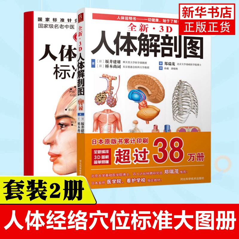 人体经络穴位标准大图册+全新.3D人体解剖图 人体经络穴位图解书 人体经络中医按摩穴位图解大全书籍 凤凰新华书店旗舰店