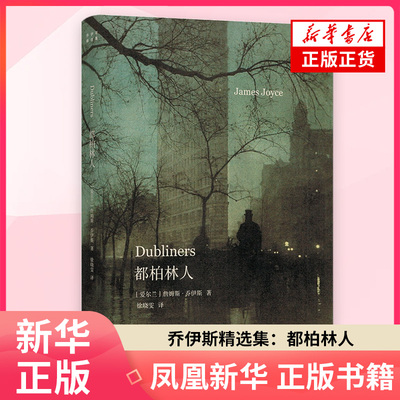 都柏林人 乔伊斯精选集 短篇小说集西方文学名篇 十五部短篇 苍凉之中偶现温情 专业英语译者徐晓雯译本 正版书籍 凤凰新华书店