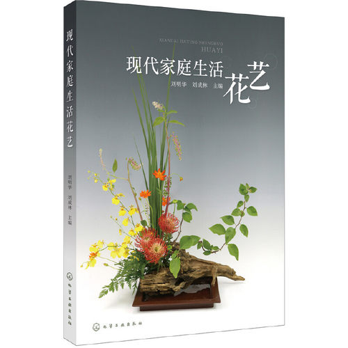 现代家庭生活花艺 插花艺术家庭插花常用器皿及应用方法 鲜花家庭插花选材及养护 仿真花与干花加工及制作 凤凰新华书店旗舰店