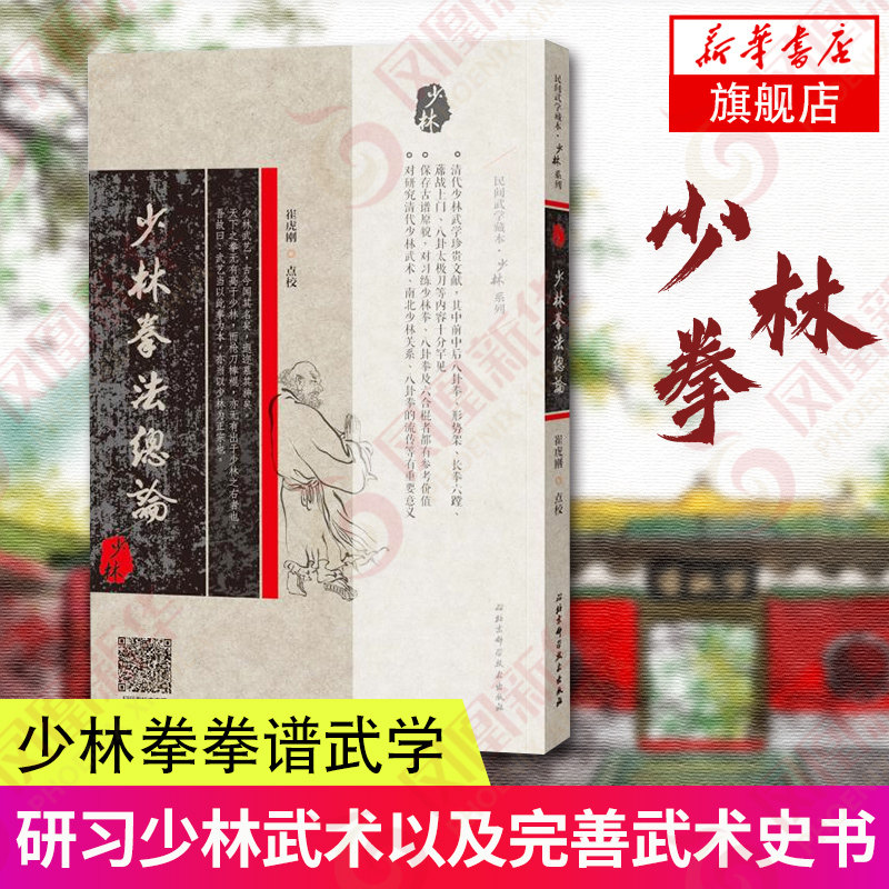 拳法入门书籍 母子拳教程 母子拳 实战功法大全翻子拳少林拳拳谱拳法
