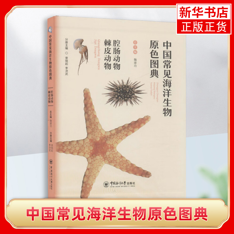 腔肠动物.棘皮动物-中国常见海洋生物原色图典 魏建功 曾晓起 李洪武 编 科普读物海洋生物 凤凰新华书店旗舰店