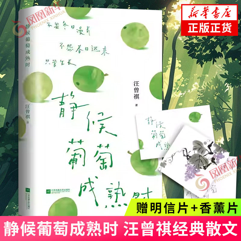 【赠明信片+香薰片】静候葡萄成熟时 汪曾祺 散文经典文学名家名著 中国现当代文学散文集 凤凰新华书店旗舰店官网正版书籍