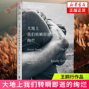 大地上我们转瞬即逝的绚烂 王鸥行 豆瓣2023年度外国文学·小说类 正版书籍 凤凰新华书店旗舰店