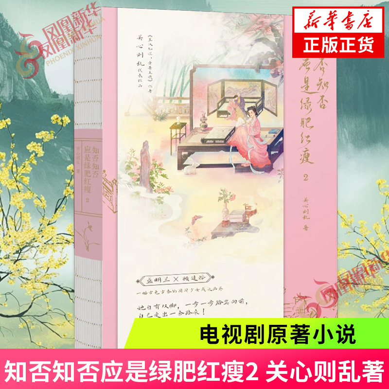 知否知否应是绿肥红瘦2 关心则乱著 电视剧原著小说 古装青春文学女性励志读物 古言宅斗 新华正版书籍