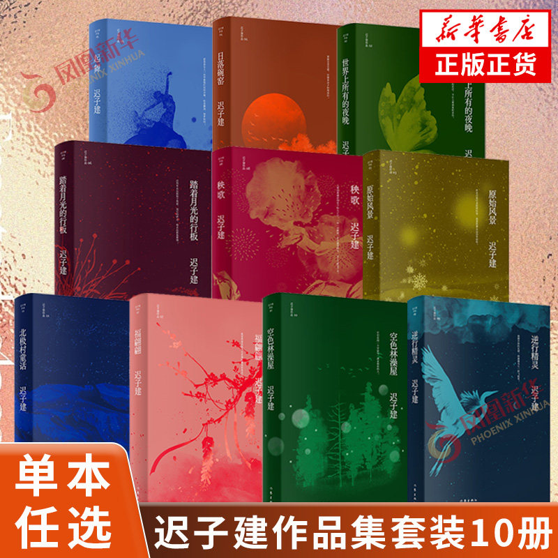 【单本任选】迟子建作品自选集 茅盾文学奖鲁迅文学奖得主迟子建 中篇小说作品经典收录 凤凰新华书店正版书籍使用感如何?