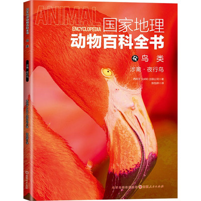 鸟类(涉禽.夜行鸟)-国家地理动物百科全书