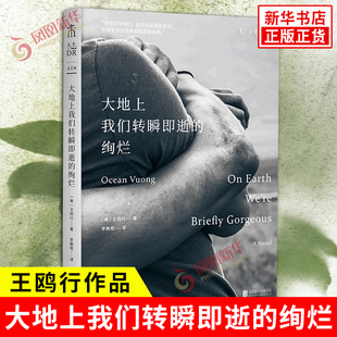 大地上我们转瞬即逝的绚烂 王鸥行 著 豆瓣2023年度外国文学小说类榜单 我们短暂地存在于这个世界上 脆弱却美丽 新华书店正版书籍