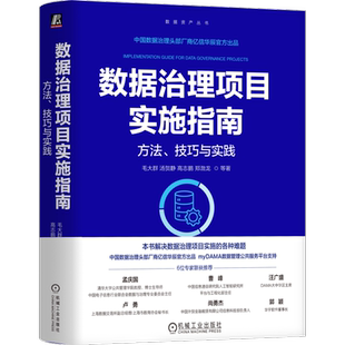 数据治理项目实施指南：方法、技巧与实践毛大群 汤贺静 高志鹏 郑渤龙 等数据库机械工业出版社凤凰新华书店旗舰店
