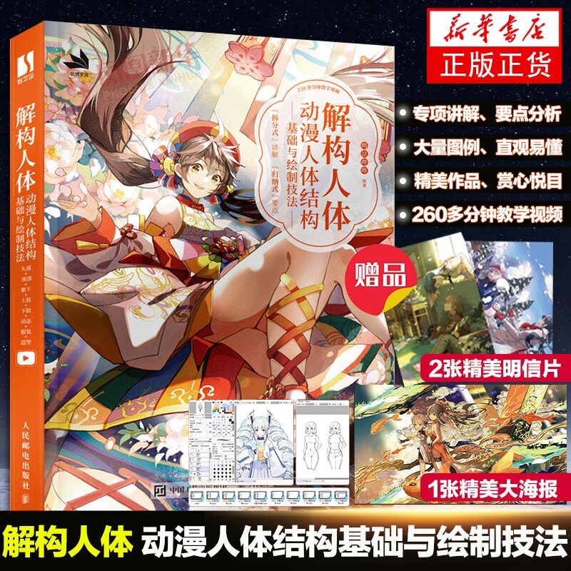 解构人体动漫基础绘制技法二次元