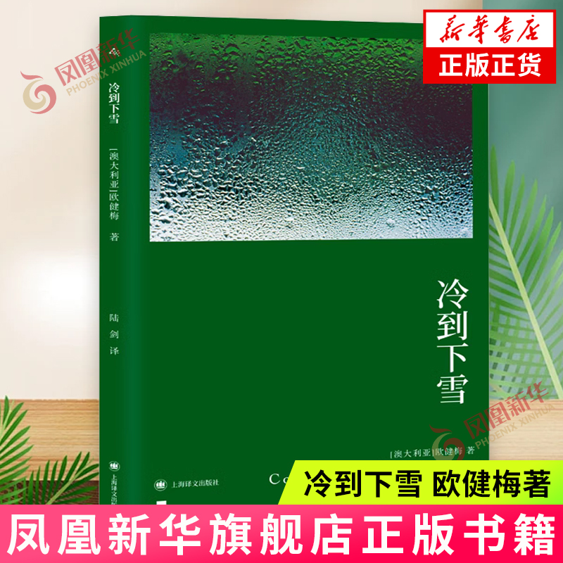 冷到下雪 欧健梅 女性主义 母女关系 获英美澳三家出版社联合主办的首届小说 维多利亚州文学奖 外国小说 上海译文 新华正版书籍