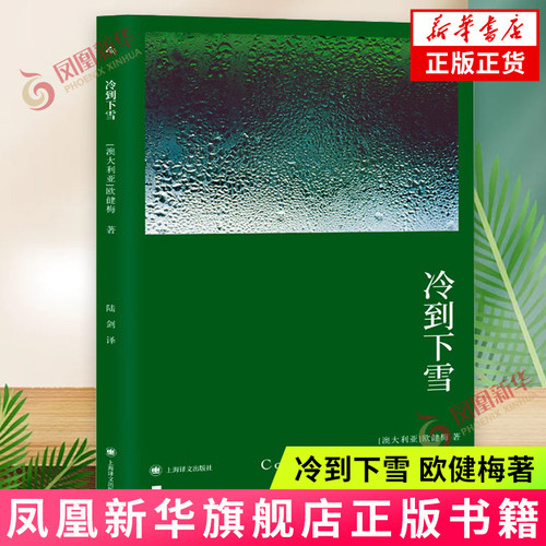 冷到下雪 欧健梅 女性主义 母女关系 获英美澳三家出版社联合主办的首届小说 维多利亚州文学奖 外国小说 上海译文 新华正版书籍
