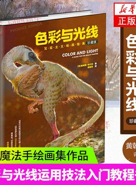 色彩与光线写实主义绘画指南贵哥翻译艺术画画入门书籍色彩设计书色彩与光线运用技法教程书籍 水彩教程光影魔法手绘画集作品