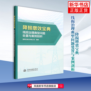 降损增效宝典-线损治理典型问题处置与案例剖析国网石家庄供电公司电工技术/家电维修中国水利水电出版社凤凰新华书店旗舰店