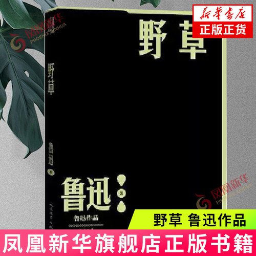 野草(鲁迅作品 单行本)  小说散文集 初高中生课外阅读书 现代当代文学 中国文学人民文学出版社 凤凰新华书店官方旗舰店 正版书籍