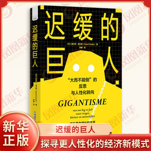 迟缓的巨人 [荷]赫尔特 努尔斯 著 共同构建一个规模适中 增长适度 更注重人性和幸福感的经济体 中国科学技术出版社 新华正版书籍