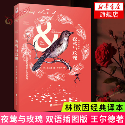 夜莺与玫瑰 双语插图版 王尔德著 民国才女林徽因的译本中英双语 林徽因周作人巴金梁思成都倾心作品课外阅读文学散文随笔正版