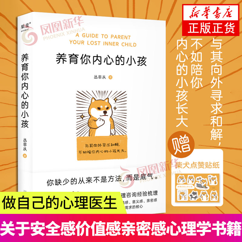 【赠贴纸】养育你内心的小孩 丛非从十年心理咨询梳理 你的内在小孩 关于安全感价值感亲密感心理学入门基础书籍 做自己的心理医生