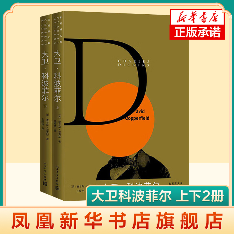 大卫科波菲尔 上下2册套装 狄更斯逝世150周年纪念版 狄更斯文集半自传小说 人民文学出版社 文学名著外国文学小说书正版