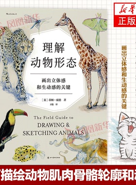 理解动物形态 画出立体感和生动感的关键 动物解剖骨骼系统美术入门初学者自学绘画教程 如何描绘动物肌肉骨骼轮廓和动态美术入门