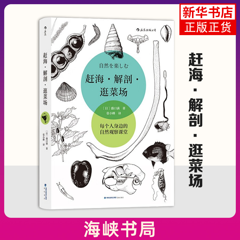 赶海.解剖.逛菜场 边的自然观察课堂 盛口满手绘博物科普插图随笔集 后浪正版 海边到菜市场的生物野外调查科教书籍