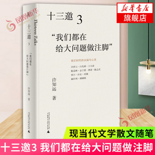 学者与作家 联手10余位 许知远著 十三邀3 重建对话精神 我们都在给大问题做注脚 现当代文学散文随笔